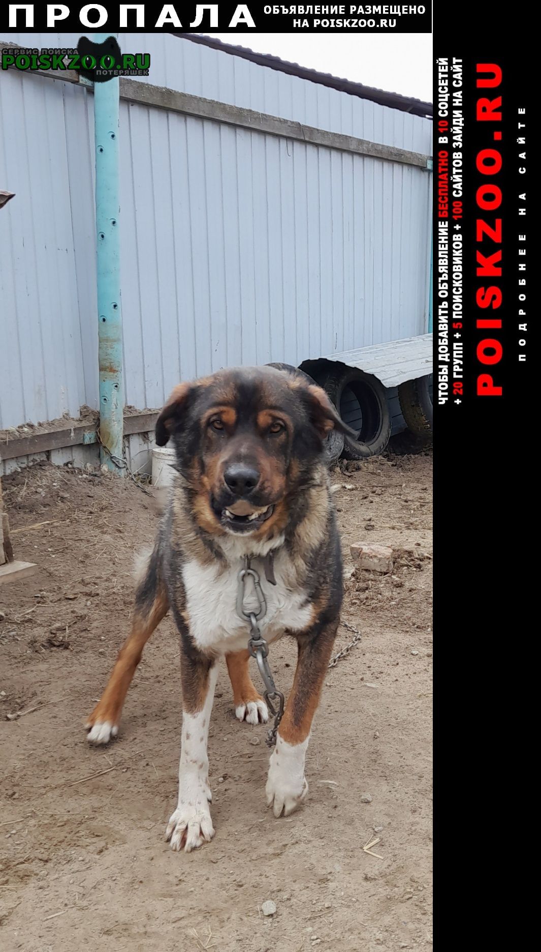 ���� ������� ������ ������ ������ ����