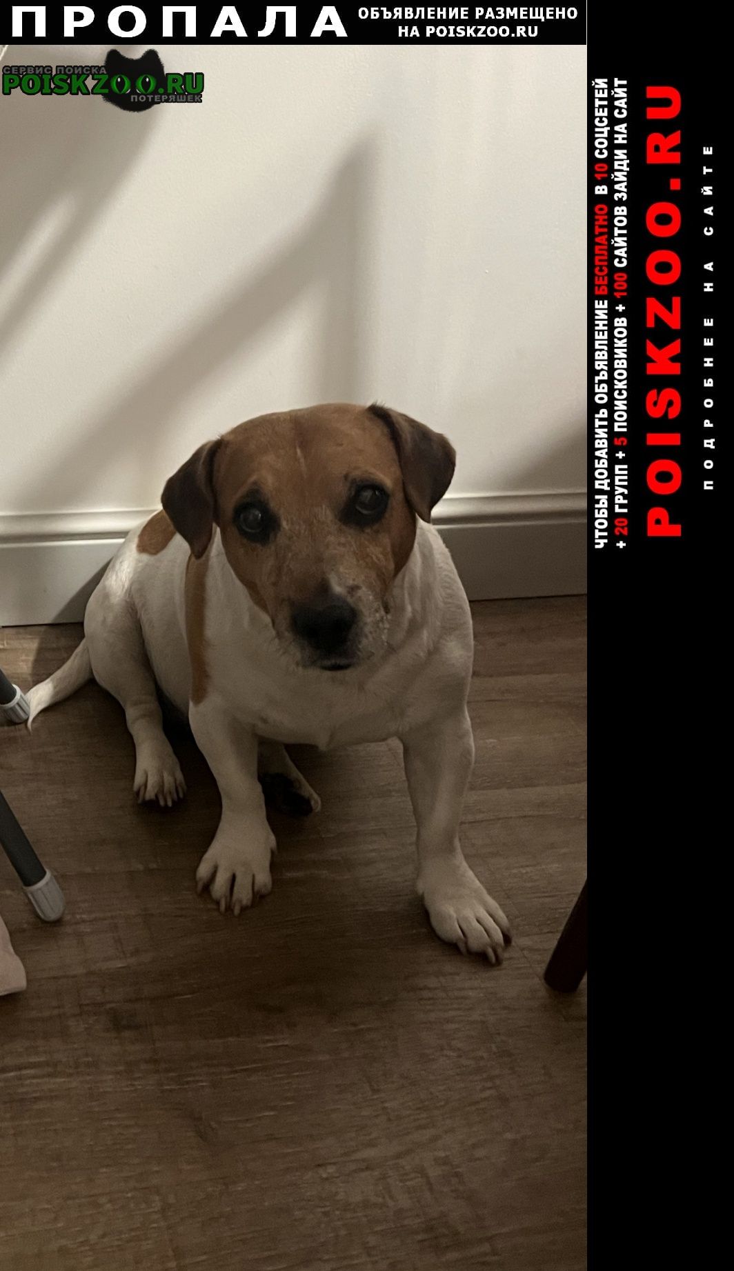 ���� ������� ������