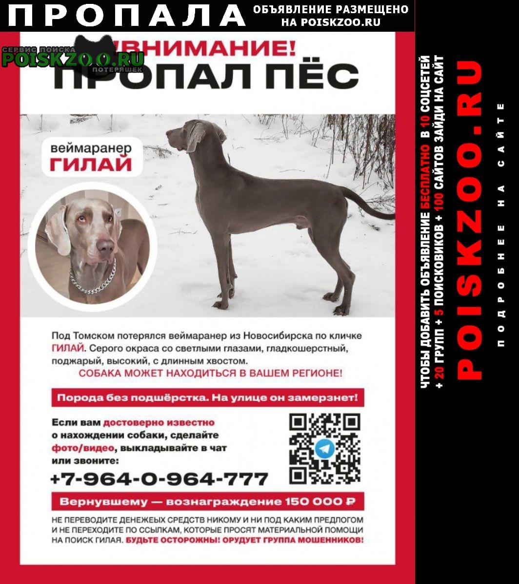 ���� ������� ������ ������ ������� �����.