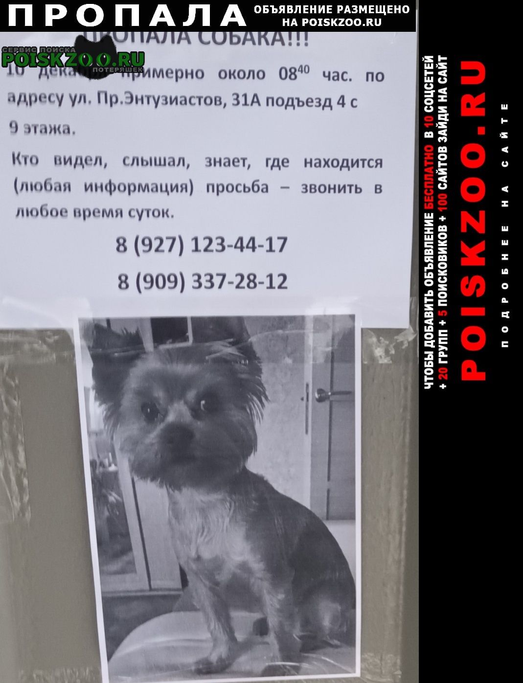 ���� ������� ������ ���� ���� ������� ���� �������.