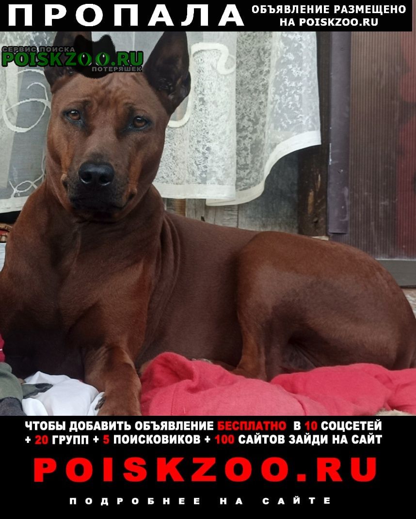 ���� ������� ������ ������ ������� �������