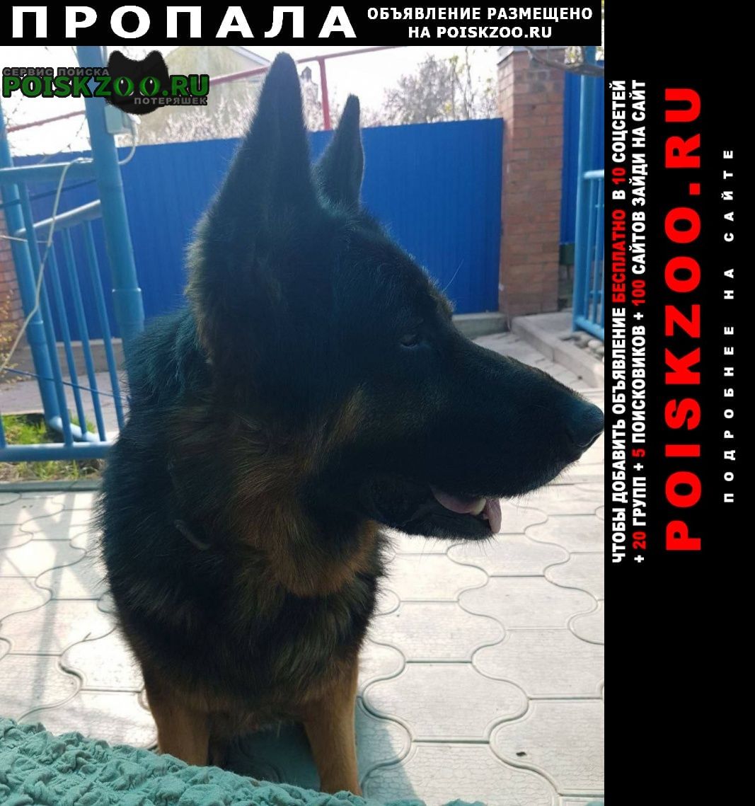 ���� ������� ������ ������ ���, �������� �������. ��������