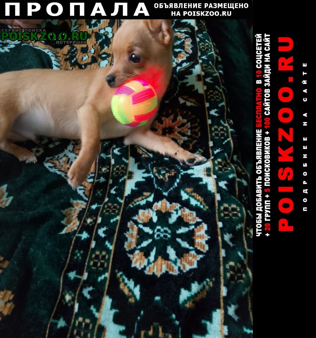 ���� ������� ������ ������ ����� ������. ����� ������. �� ���������