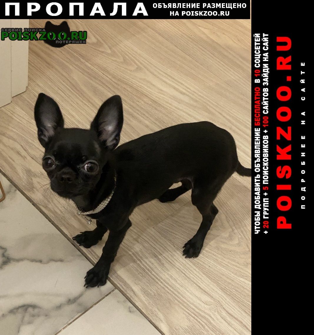 ���� ������� ������ ������