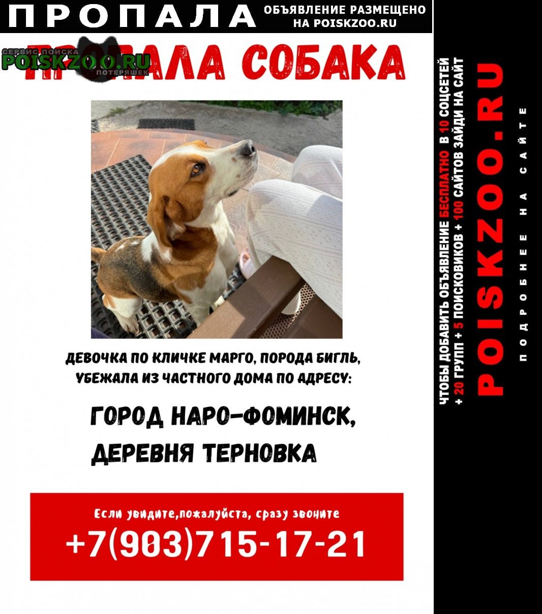 ���� ������� ������ �����