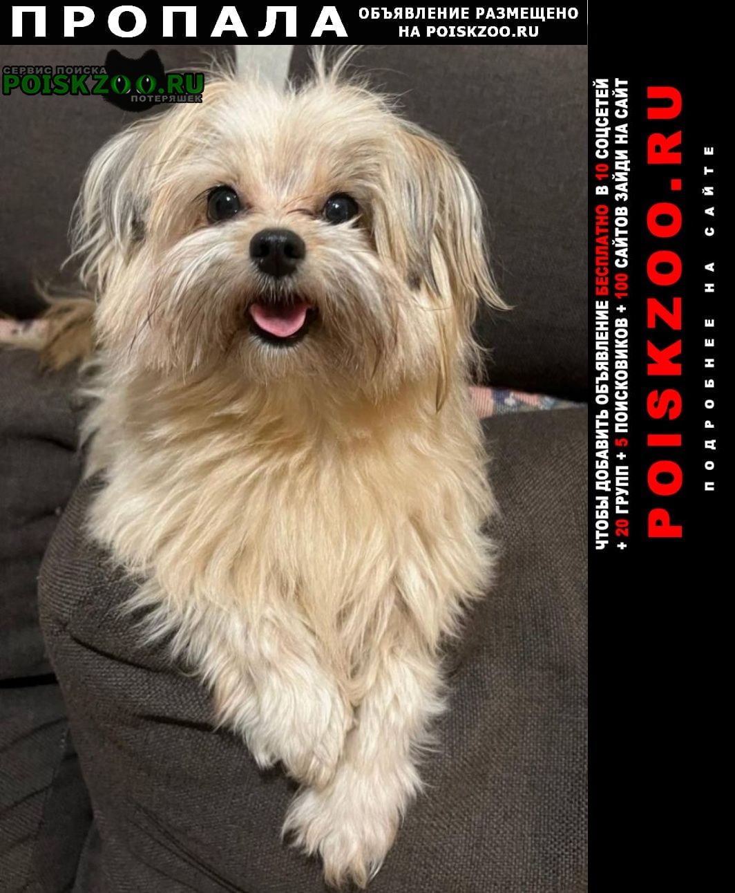 ���� ������� ������