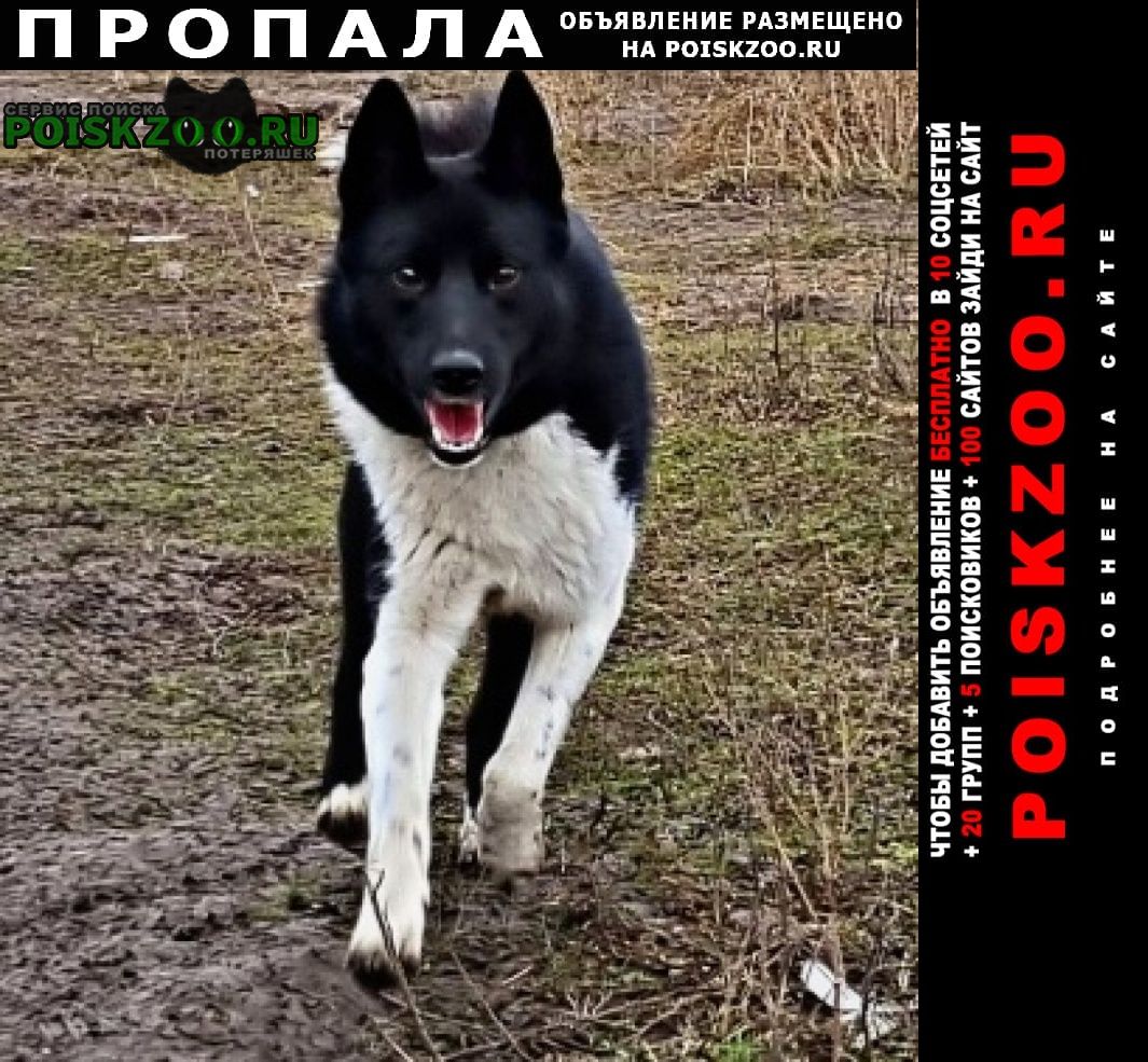 ���� ������� ������ ������ ������-����������� �����