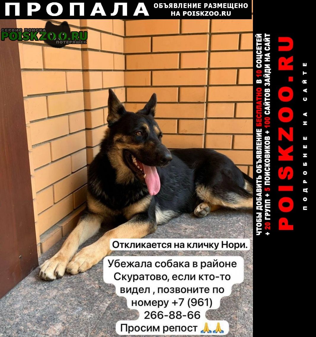 ���� ������� ������ ������������������� �������