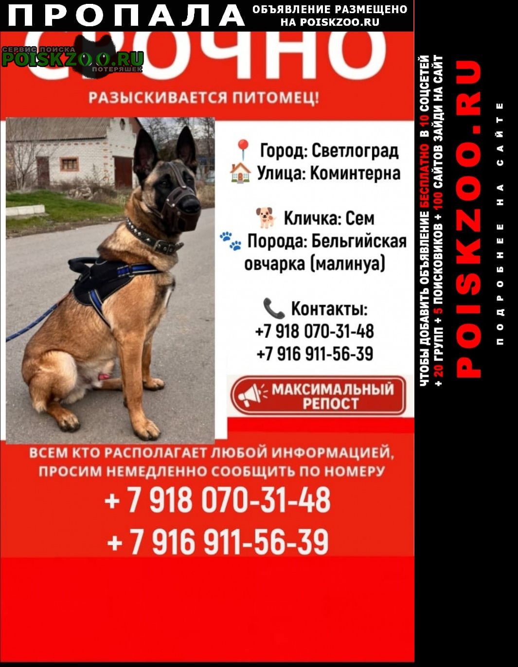 ���� ������� ������ ������