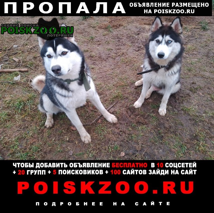 ���� ������� ������