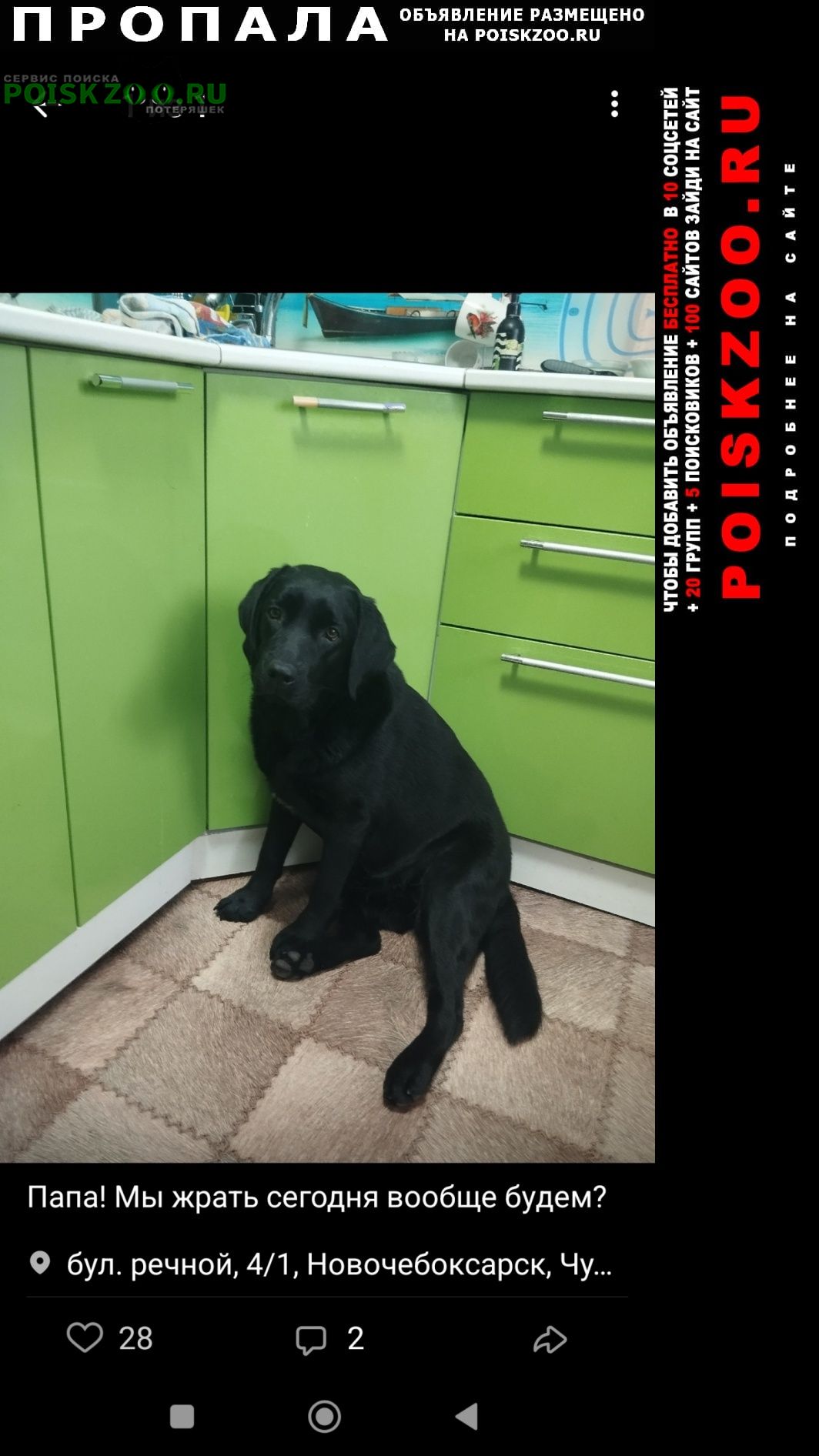 ���� ������� ������ ����� �2 �� 5 ����������� ������� �� ���