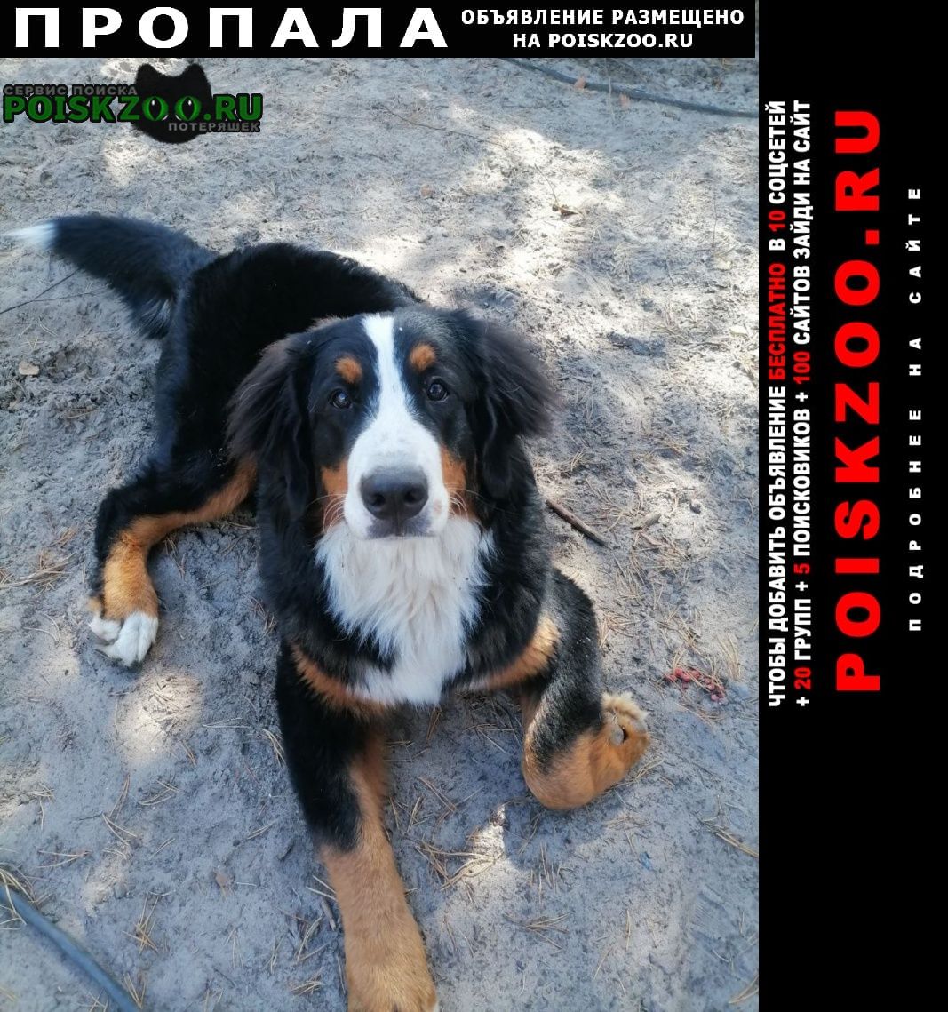 ���� ������� ������