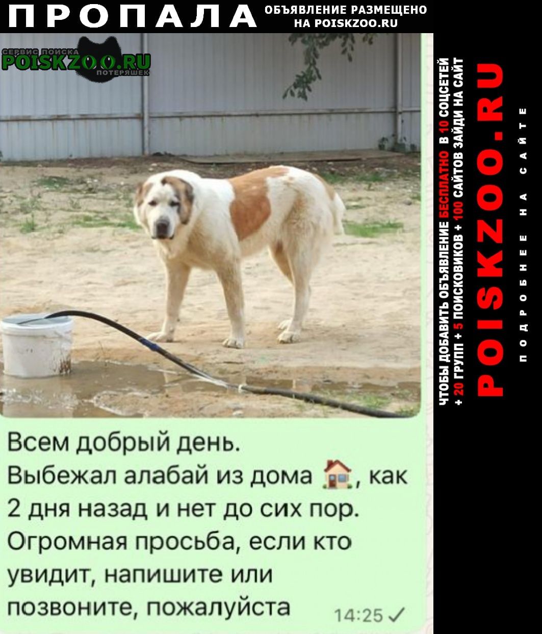 ���� ������� ������