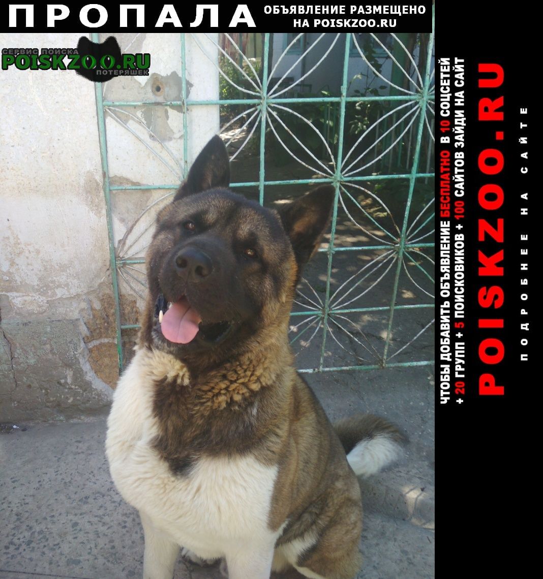 ���� ������� ������ ������ ������ ������������ �����