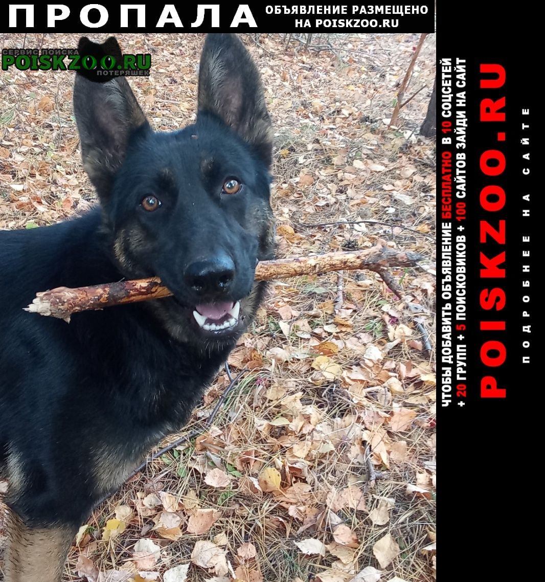 ���� ������� ������ ���������� �������� �������