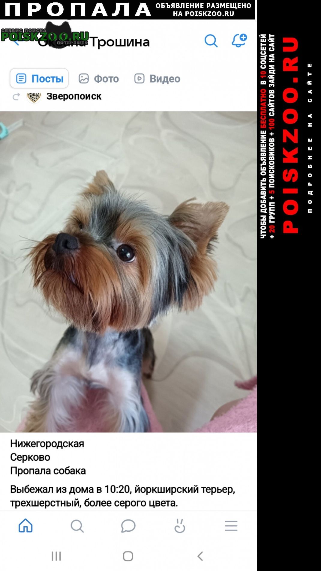 ���� ������� ������ ������ �������� �����