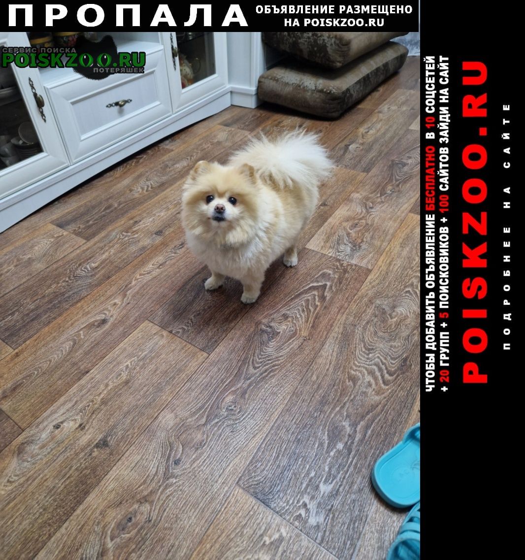 ���� ������� ������ ����. ��������� ������.