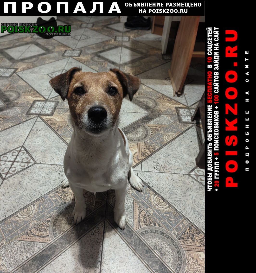 ���� ������� ������ ������ �������� �����