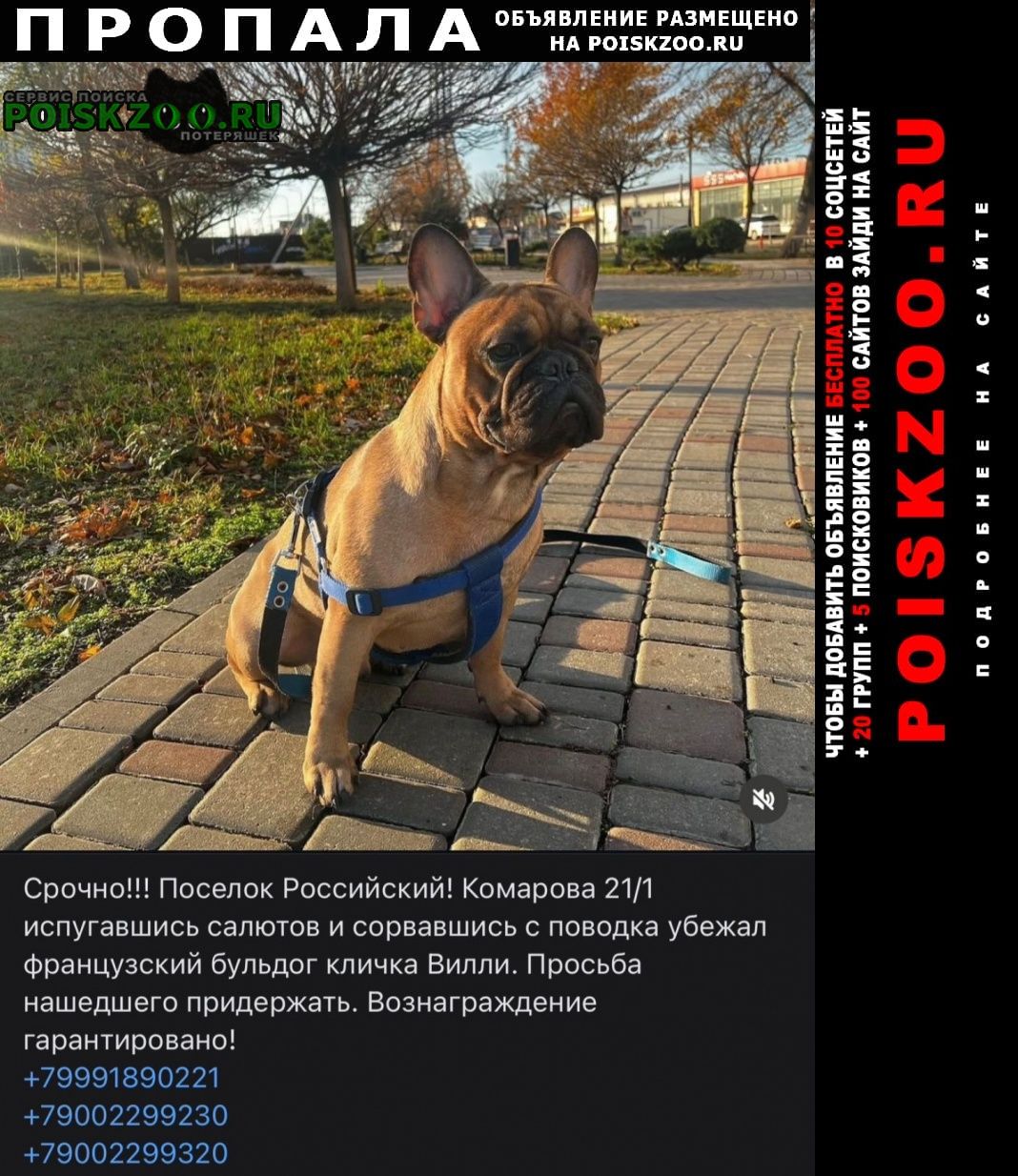 ���� ������� ������ ������