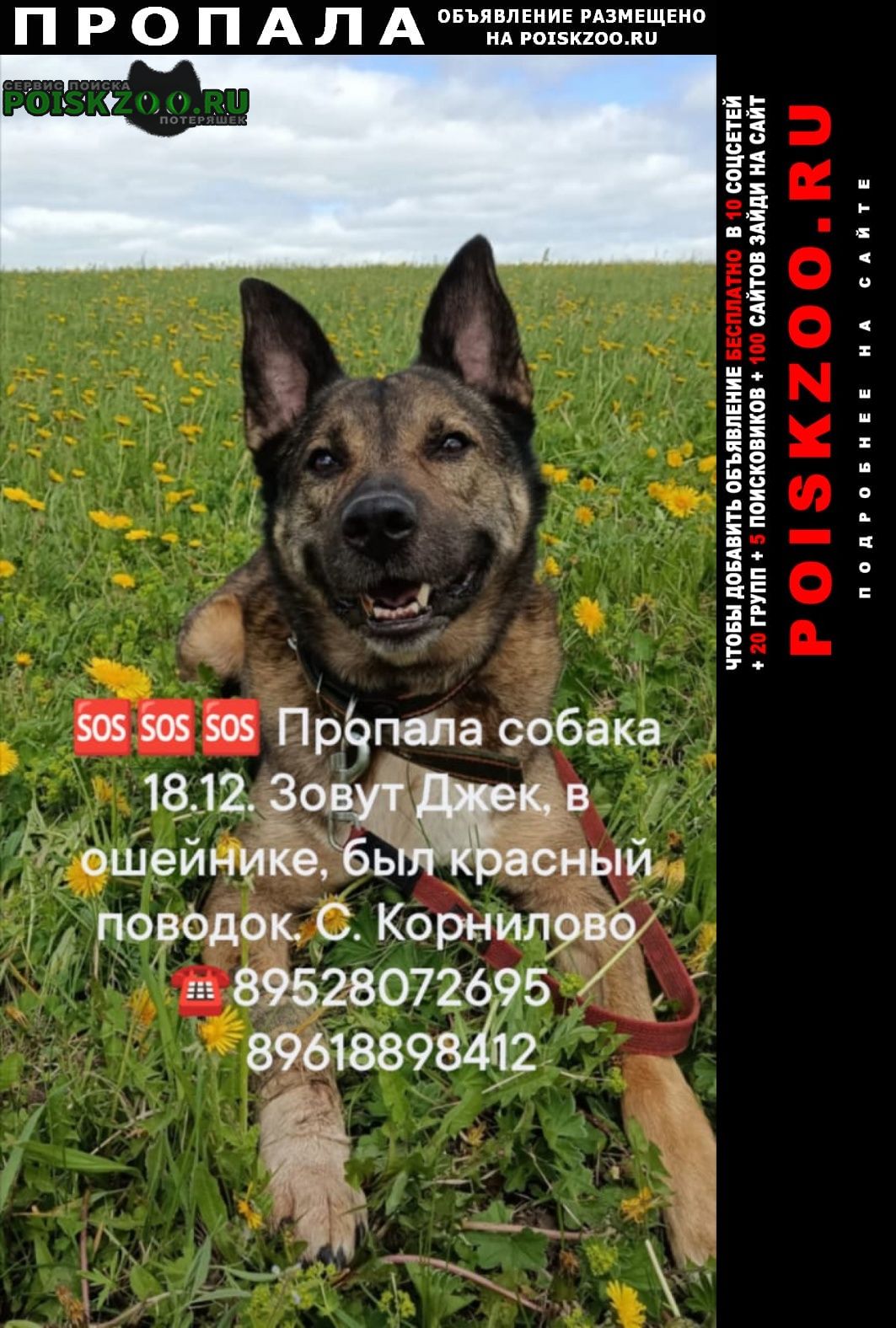 ���� ������� ������ ������