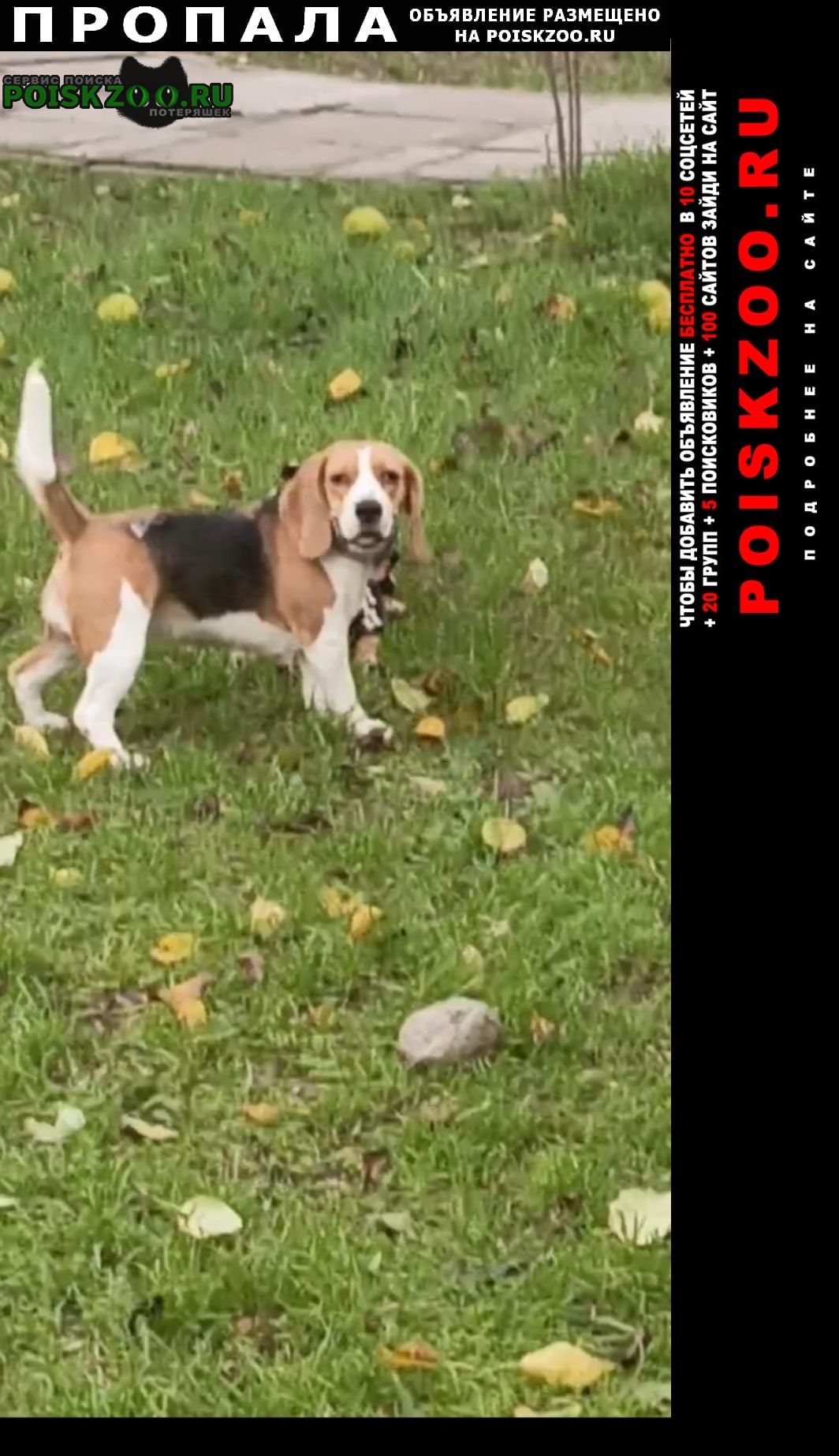 ���� ������� ������ ����� ������ ������