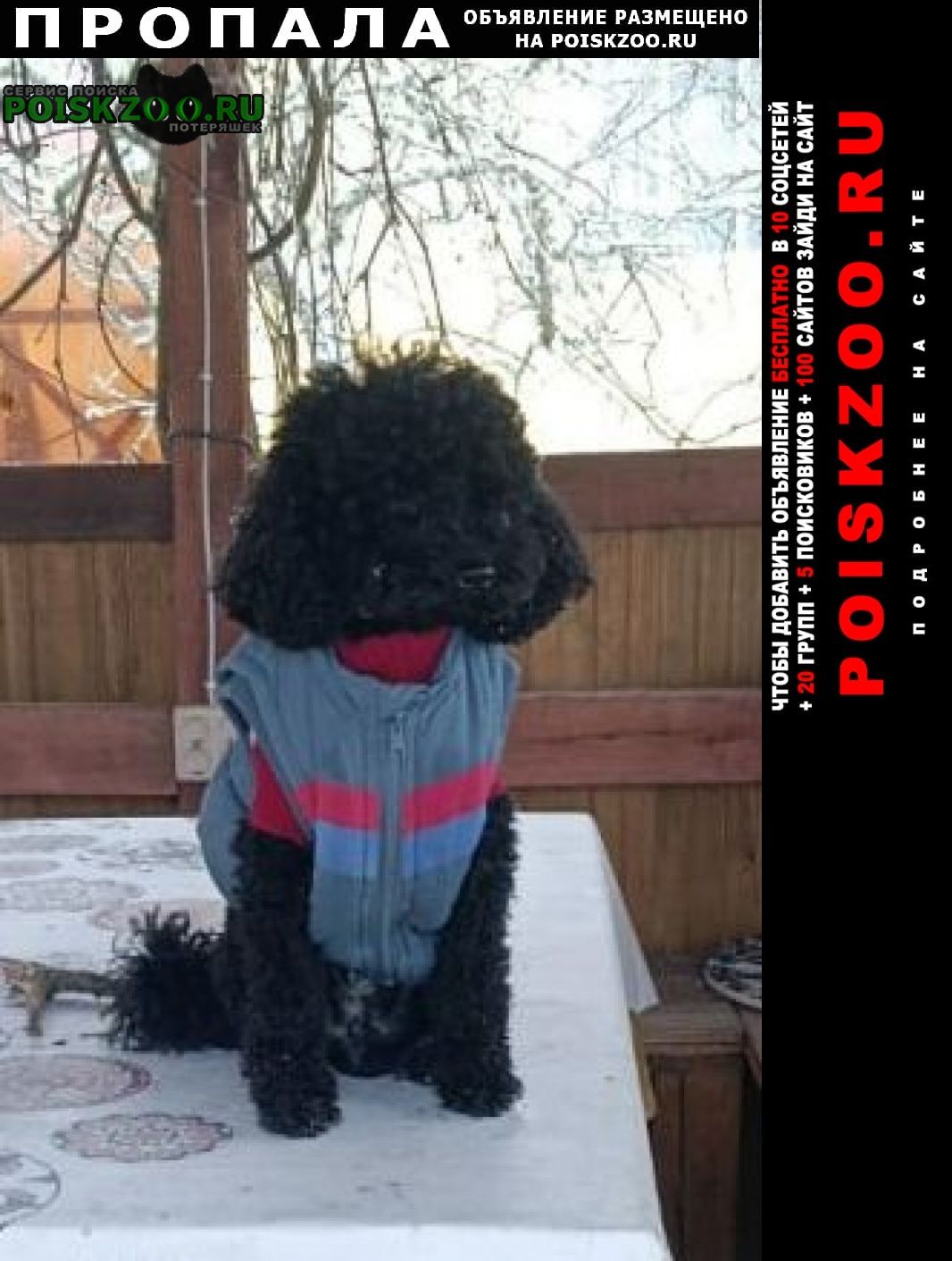 ���� ������� ������ ������ ������ ����� ������. ������ ����.