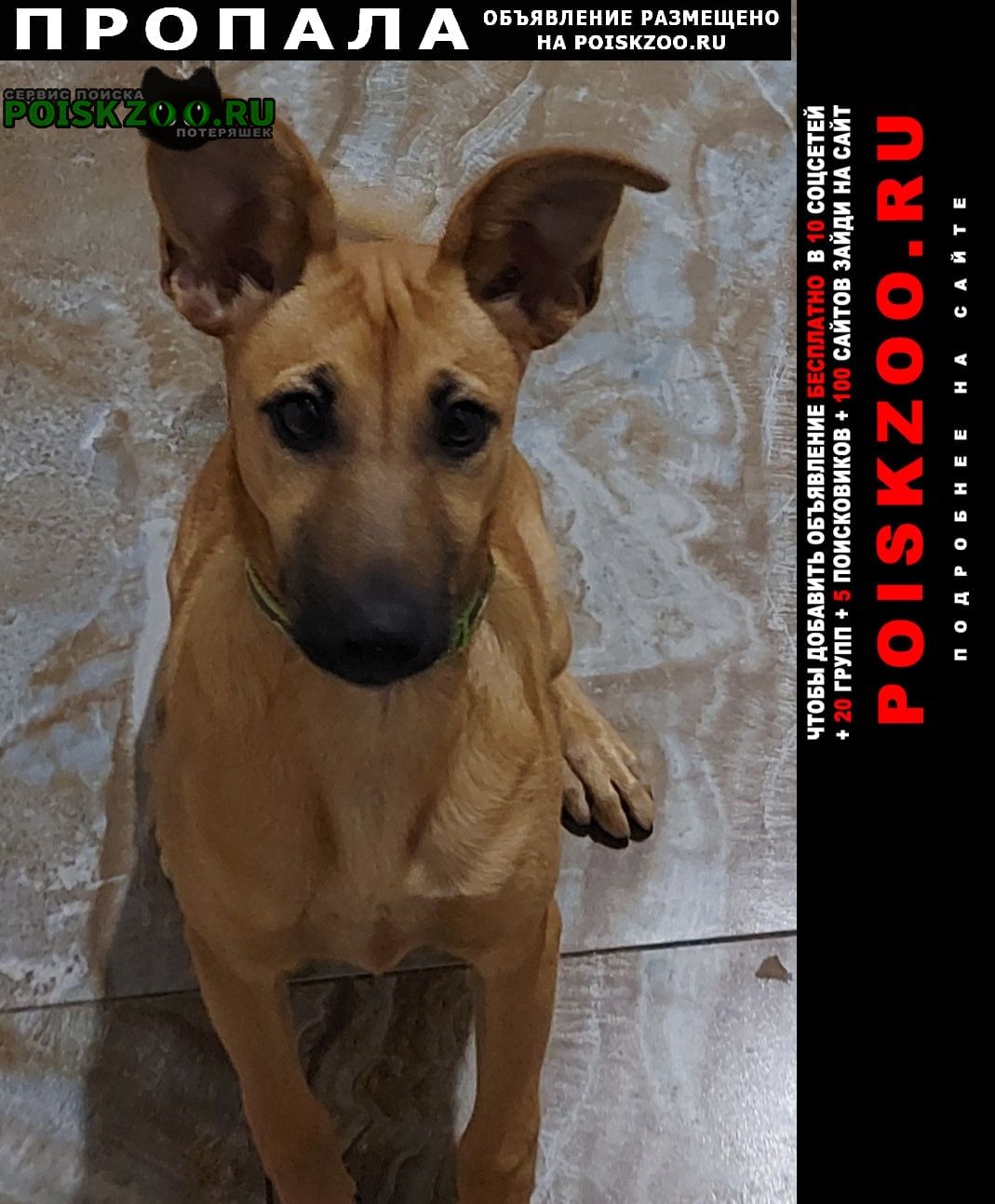 ���� ������� ������ ������� ������� 7-�������.