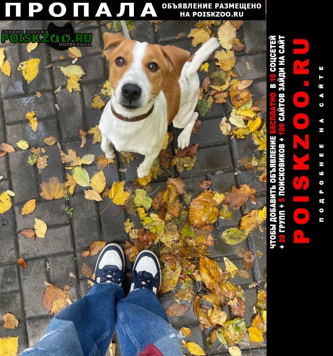 ���� ������� ������ ������