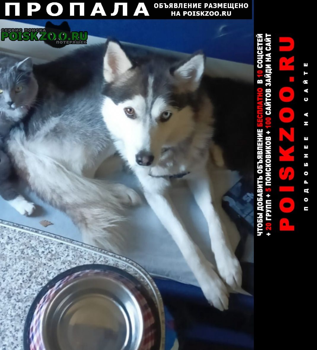 ���� ������� ������ ������