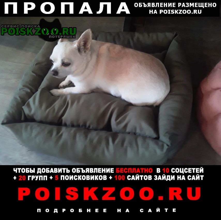 ���� ������� ������ ������ �������.