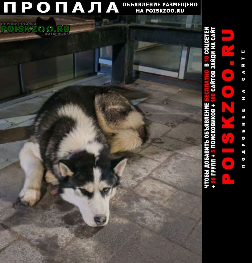 ���� ������� ������ ������ ����� �������� ����� ������