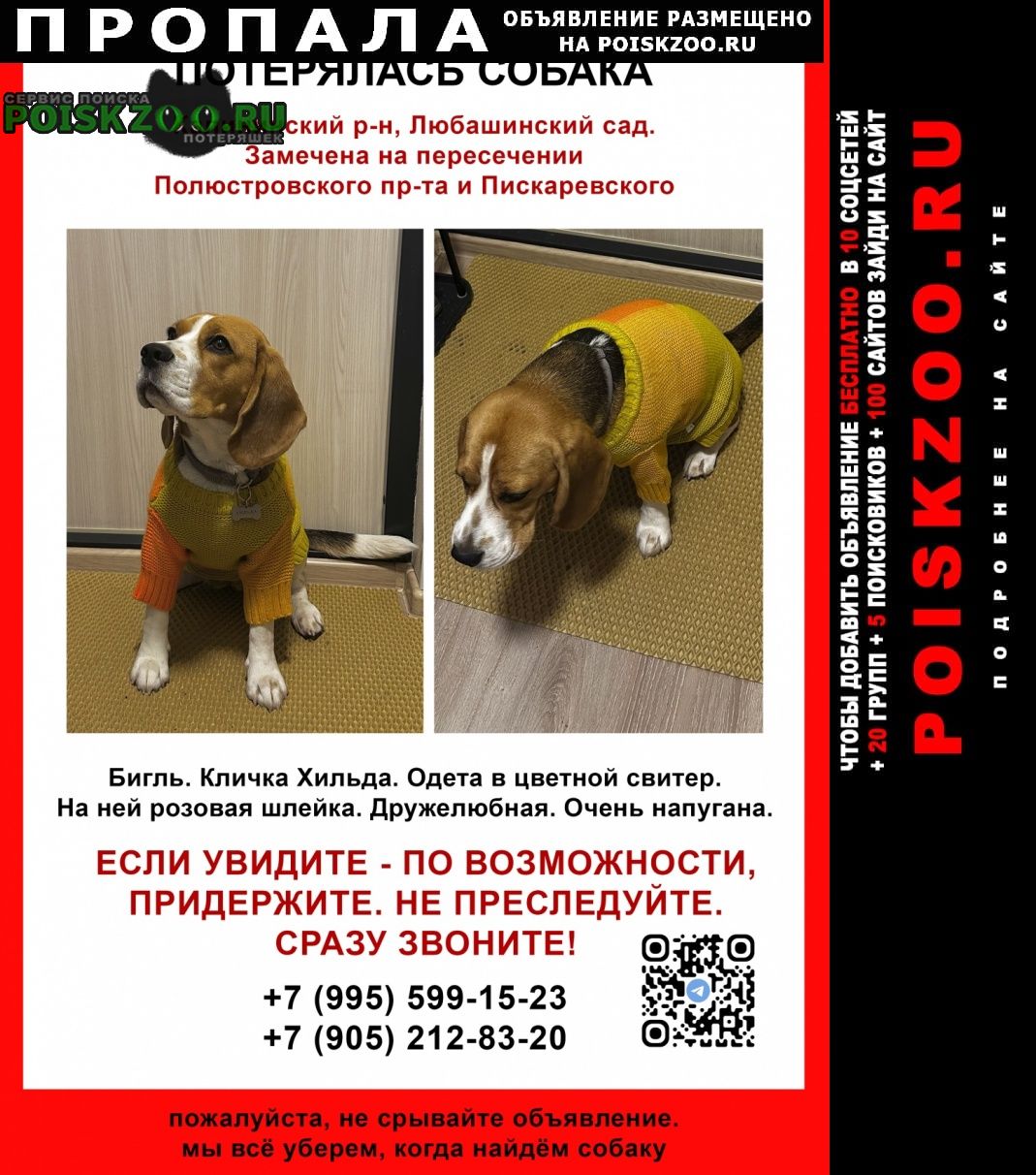 ���� ������� ������ ����������� �����, ���, ����� ������