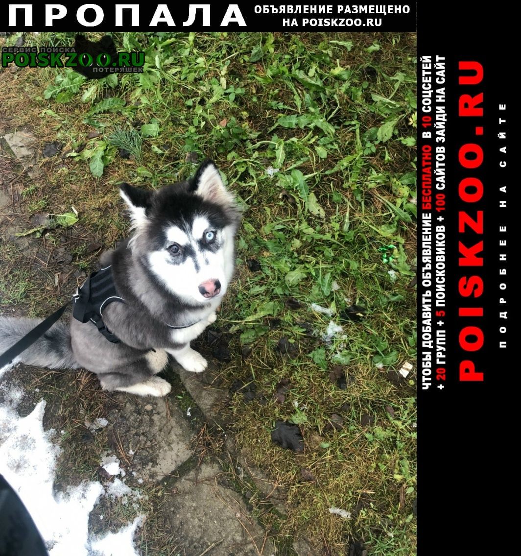 ���� ������� ������ �����, ����� �����