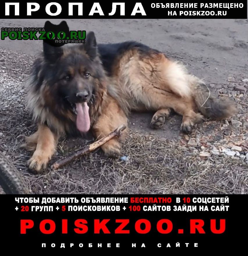 ���� ������� ������ ������