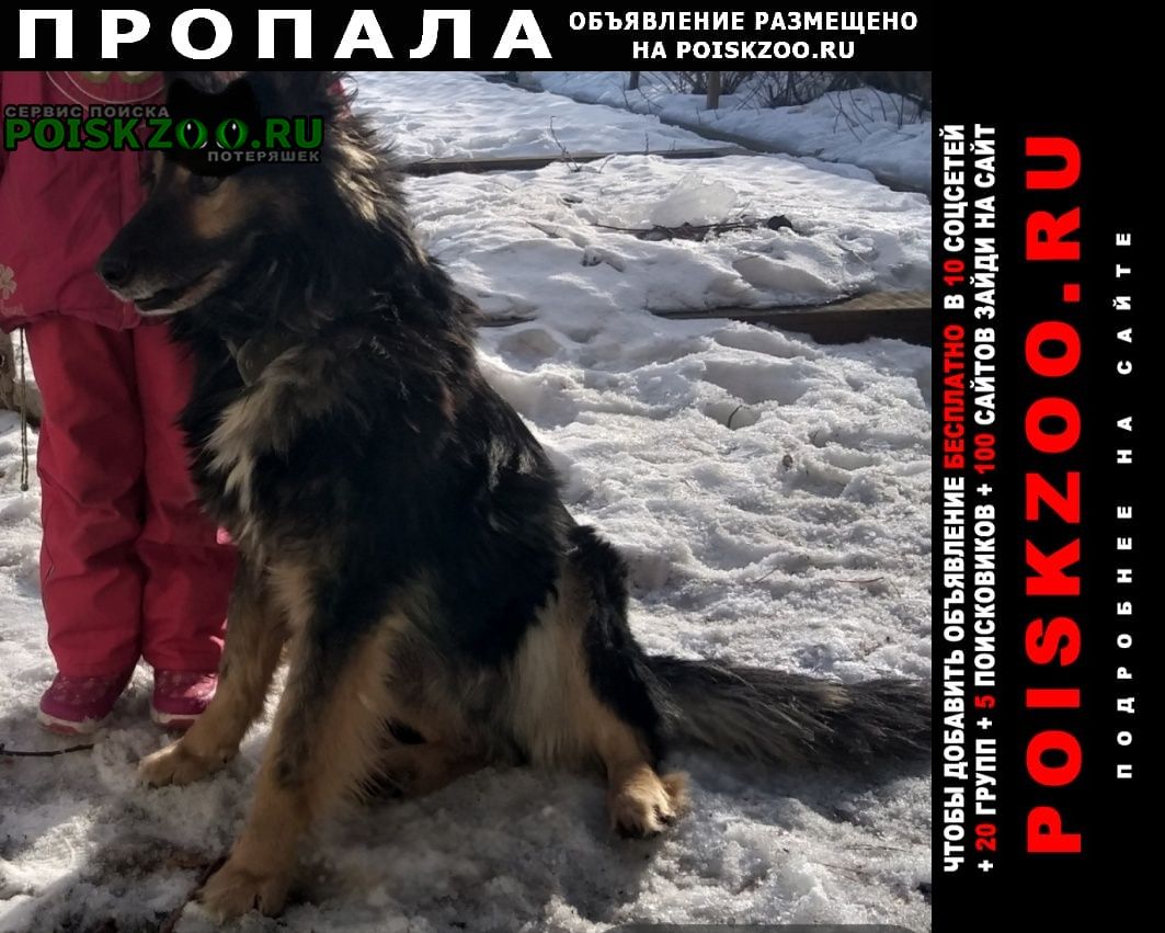 ���� ������� ������ ������ ��� �����