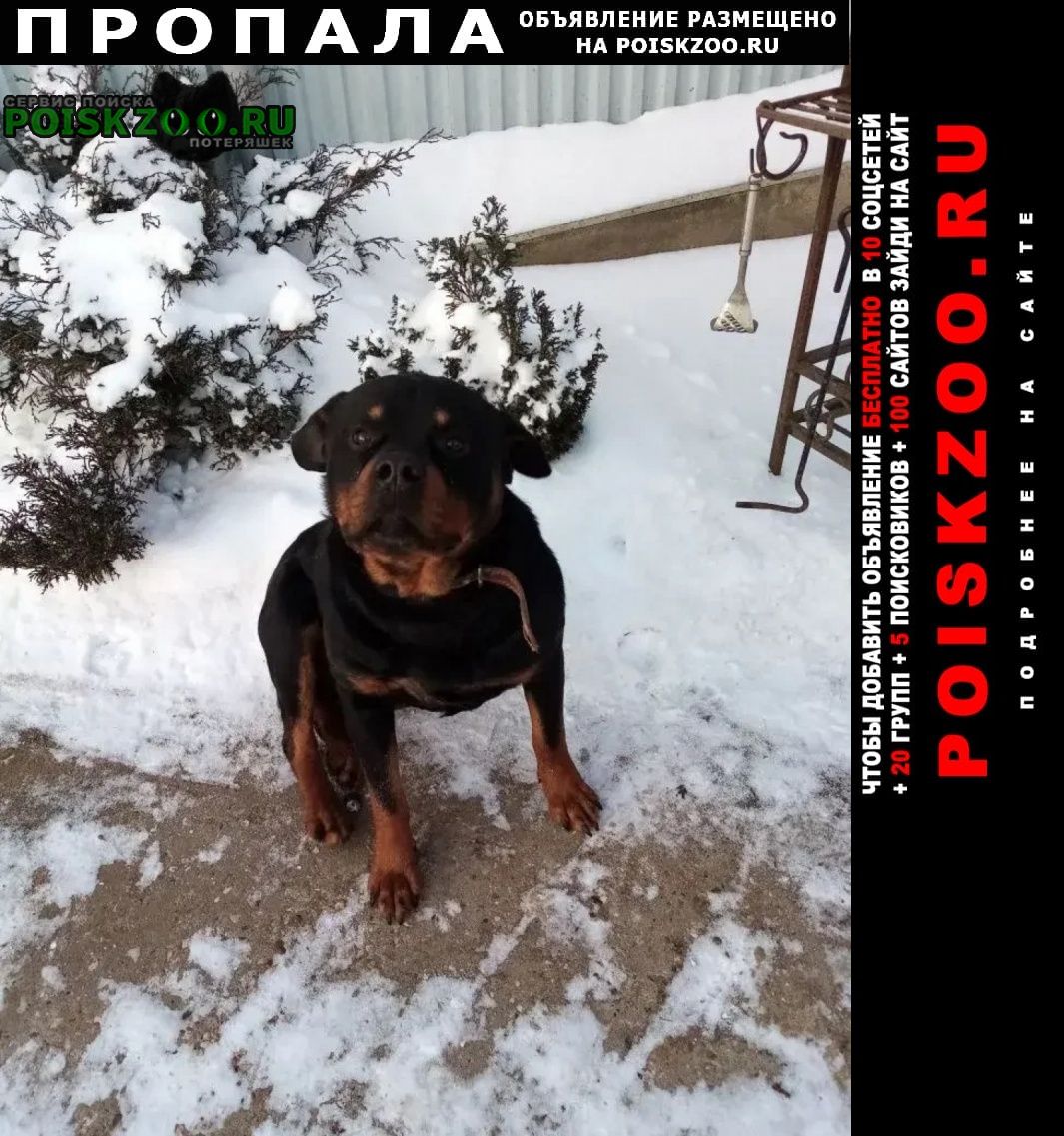 ���� ������� ������ ������ ������ ������