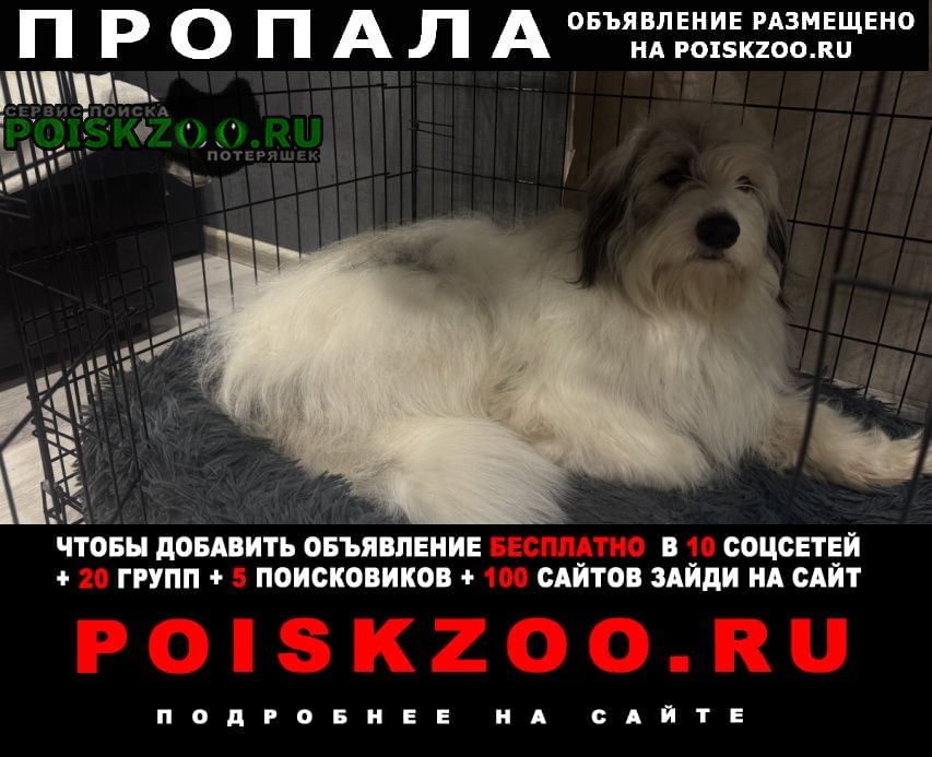 ���� ������� ������ ������