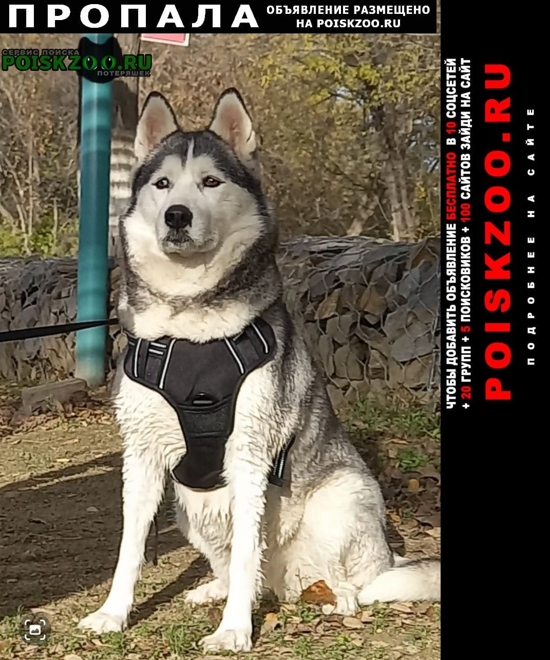 ���� ������� ������ �����