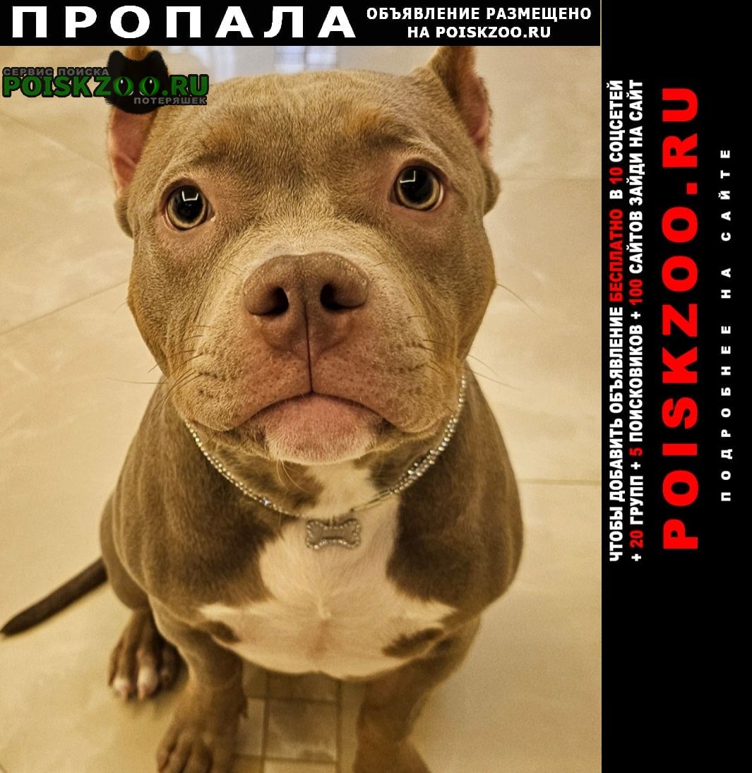 ���� ������� ������