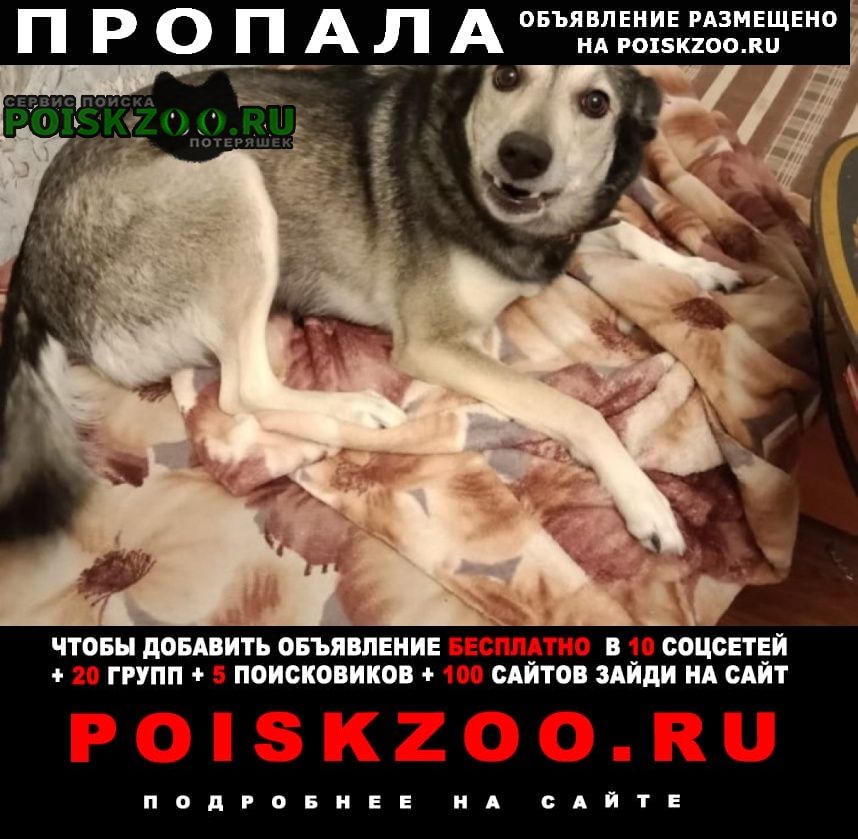 ���� ������� ������