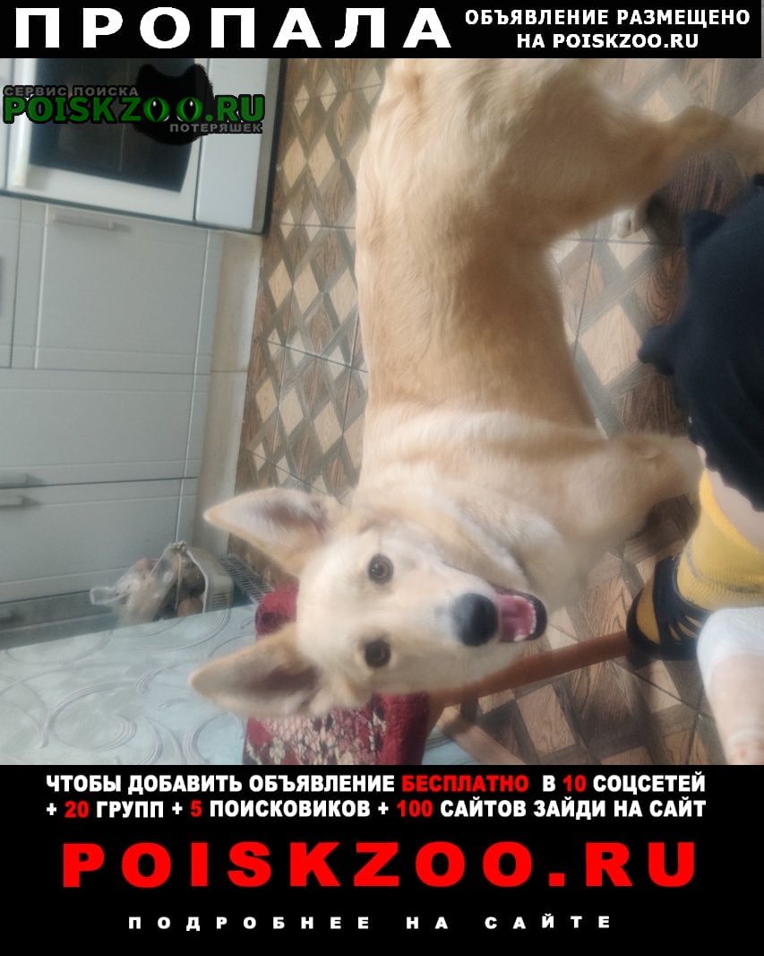 ���� ������� ������