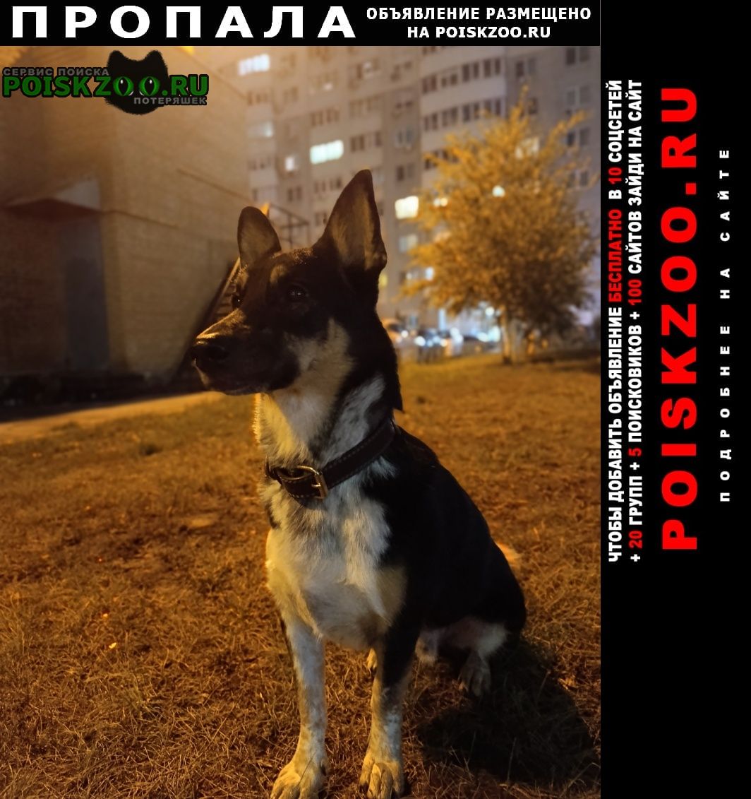 ���� ������� ������ ������ ����� ������� ����������.