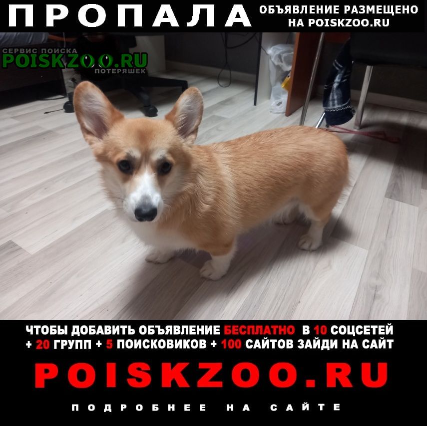 ���� ������� ������ ����� ������� �����