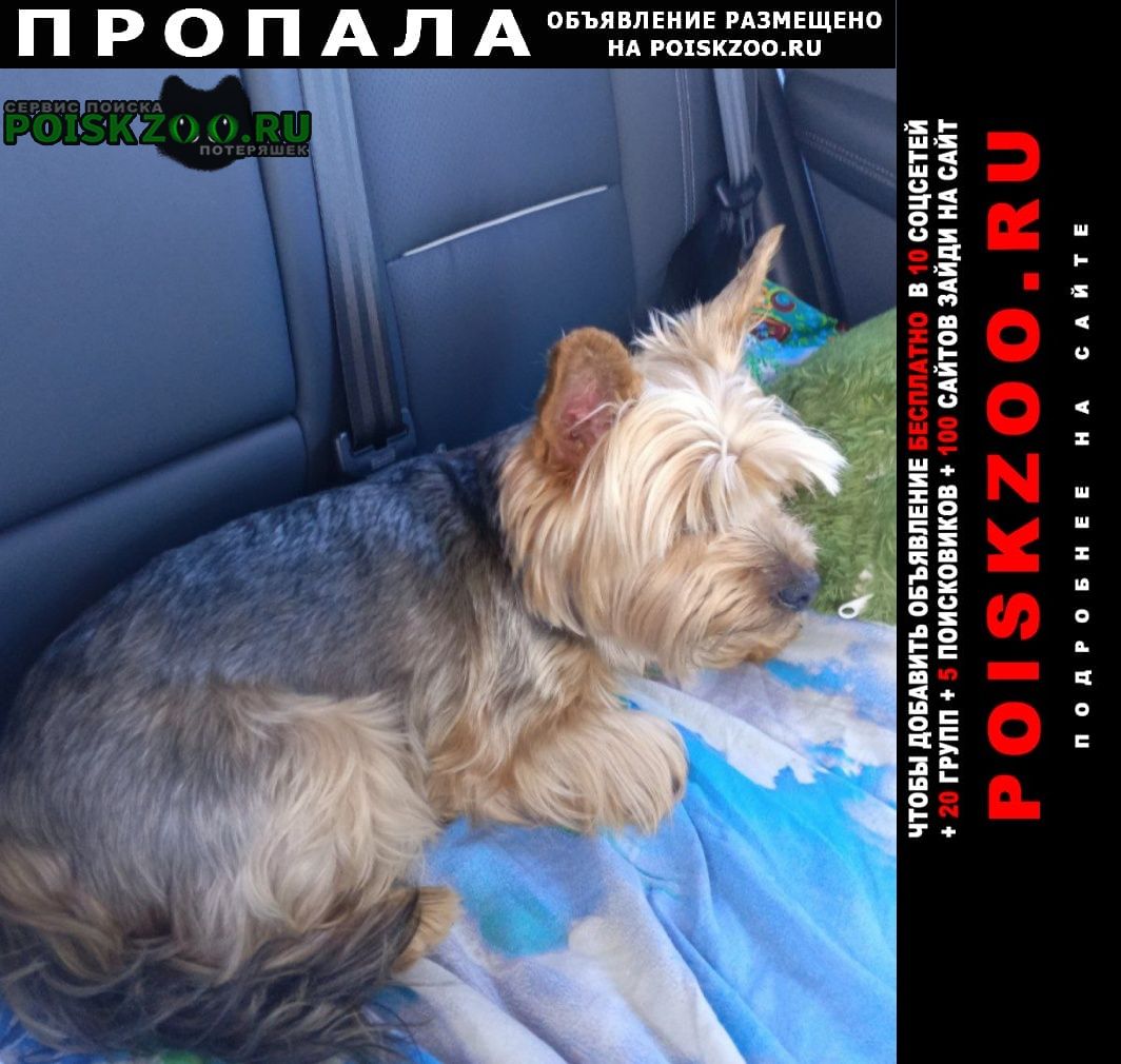 ���� ������� ������ ������