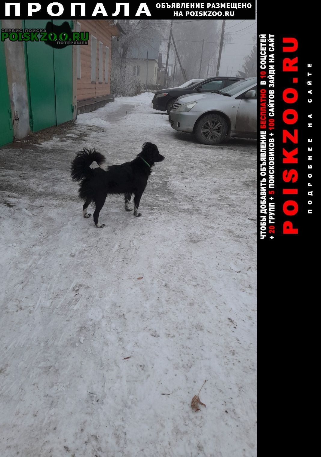 ���� ������� ������ 28 ������� 2028