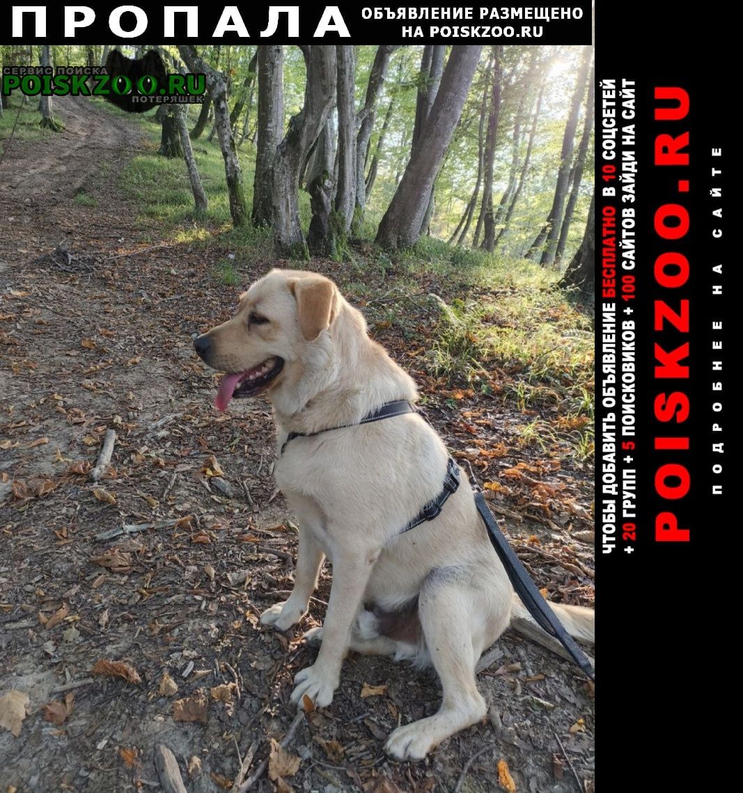 ���� ������� ������ ������ � ���������, �����������, ��� ����. �����