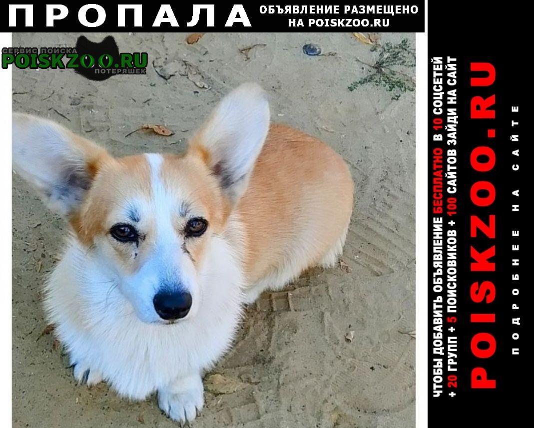 ���� ������� ������ �����