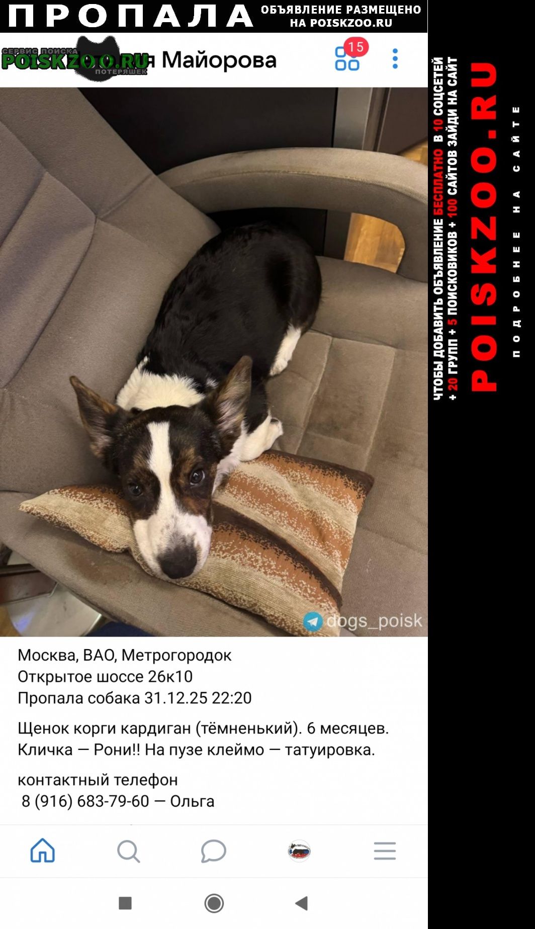 ���� ������� ������ ������ ����� ����� ����� ��������