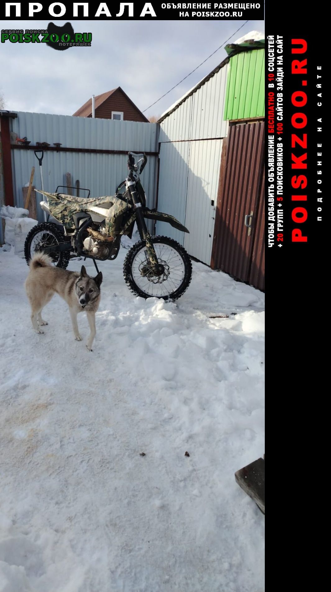 ���� ������� ������