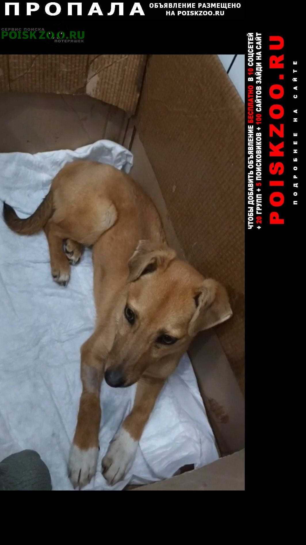 ���� ������� ������ ������ �� ������